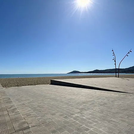 2 Pieces, 5 Couchages, Acces Direct Plage, - Fr-1-225-426 Apartment Argeles-sur-Mer